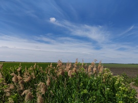Jászkarajenő