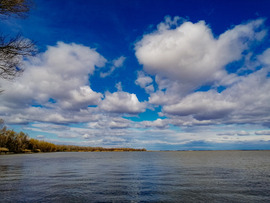 Tisza - tó 
