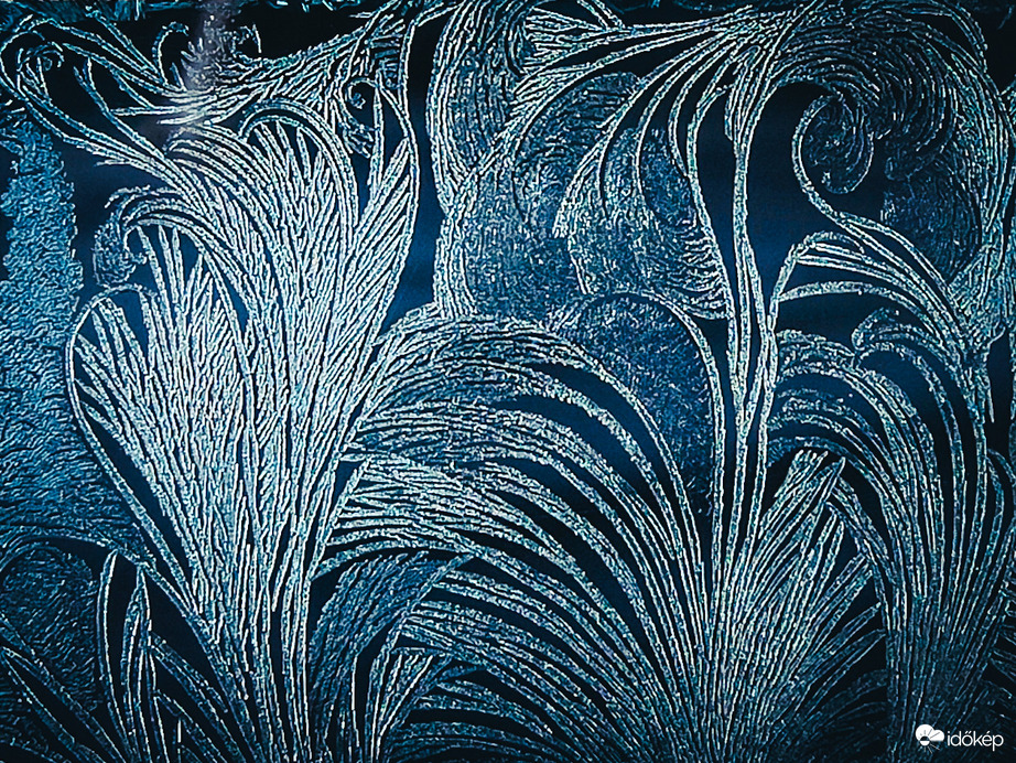 Jégvirág 