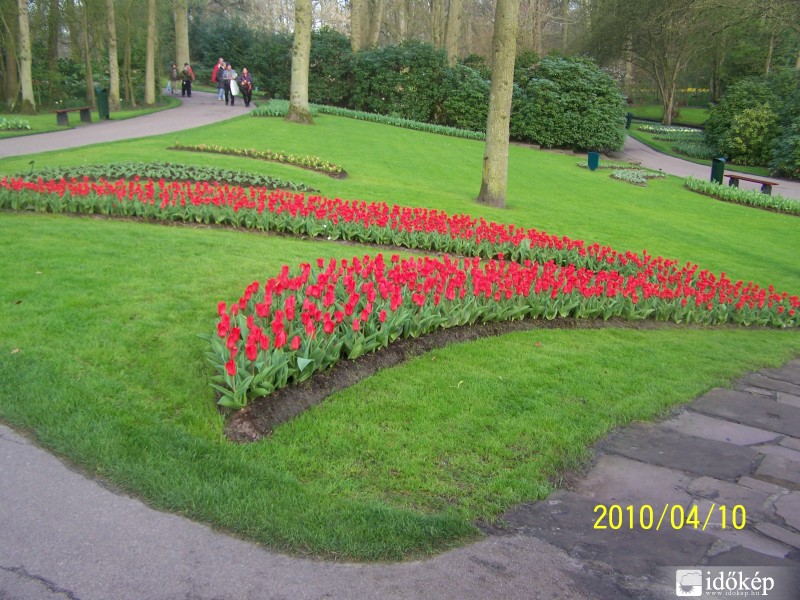 Keukenhof Hollandia