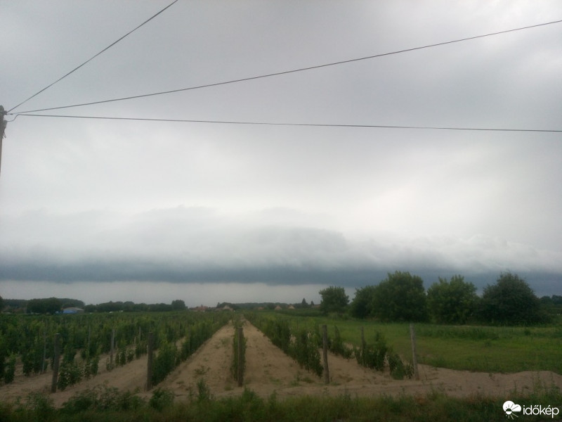 Észlelési fényképek