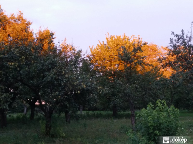 Észlelési fényképek