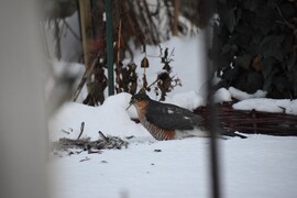 lneannamaria fotója