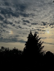 HelloHalo