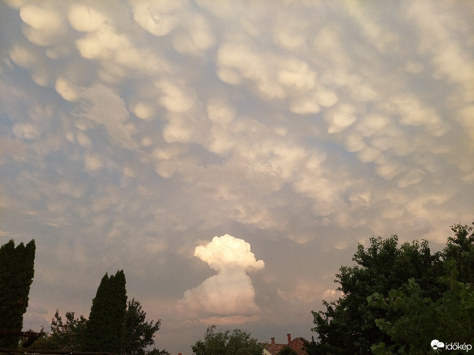 Észlelési fényképek