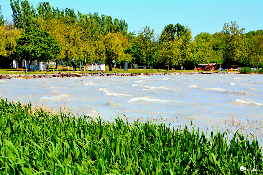 Balaton