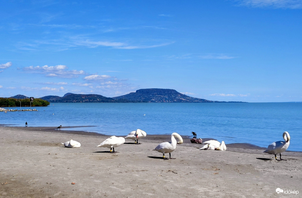 Balaton