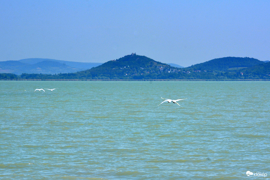 Balaton