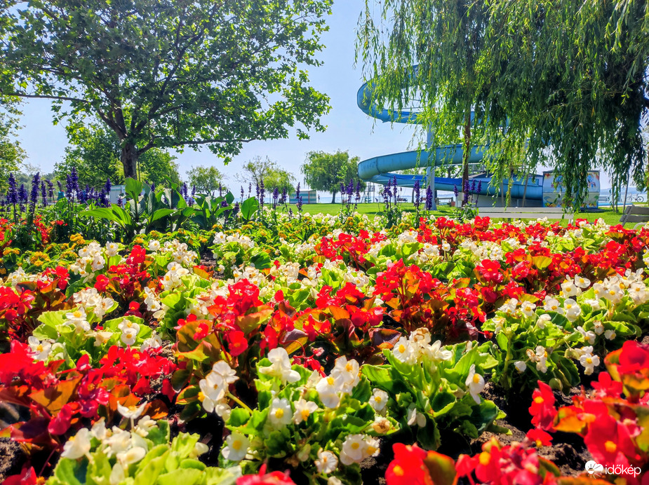 Balaton