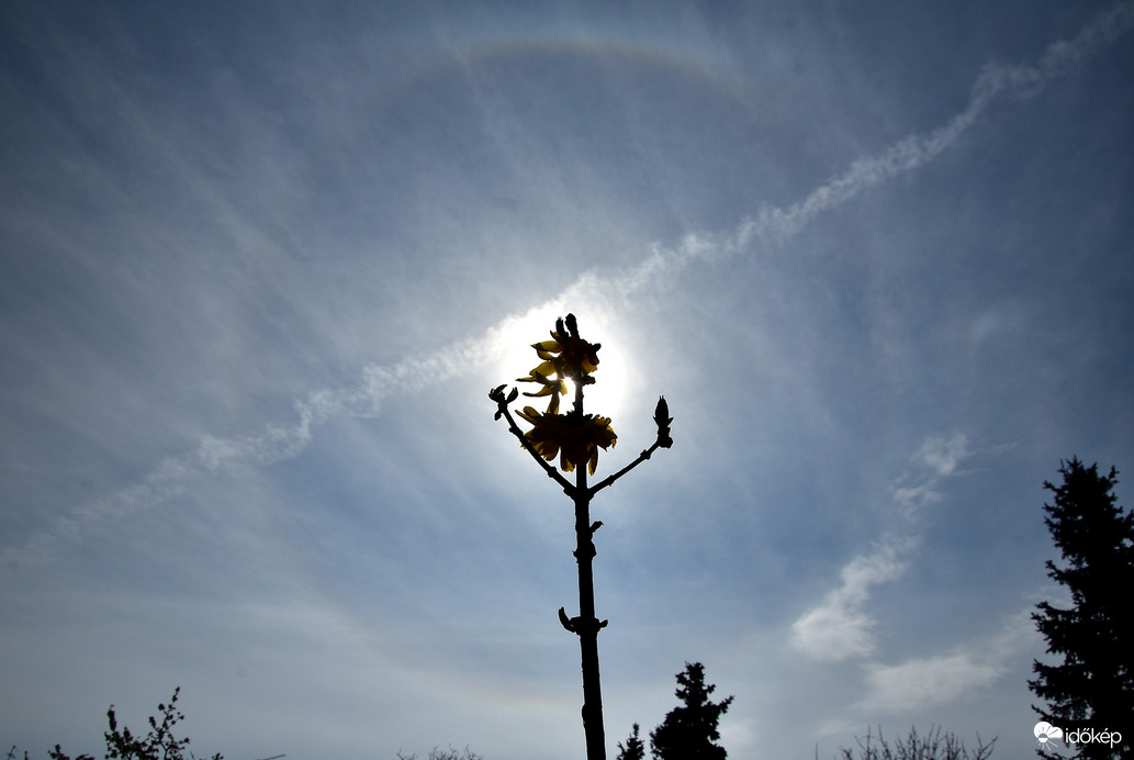 Naphaló Nagypénteken