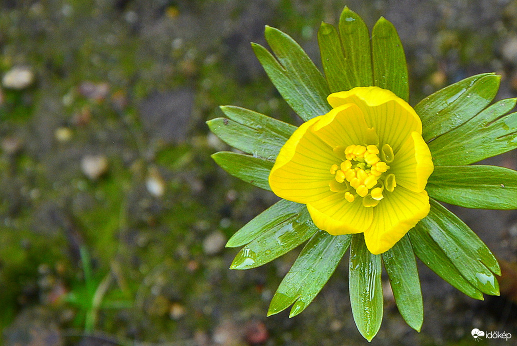 Gyönyörű téltemetők 02.12.