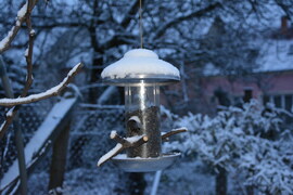 Hóra ébredtünk karácsony első napján 12.25.