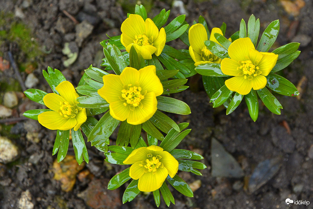 Gyönyörű téltemetők 02.12.