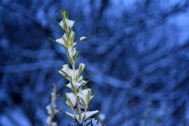 Hóra ébredtünk karácsony első napján 12.25.