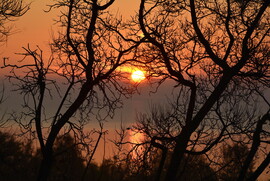 Ködös napkelte Balatongyörökön 11.16.