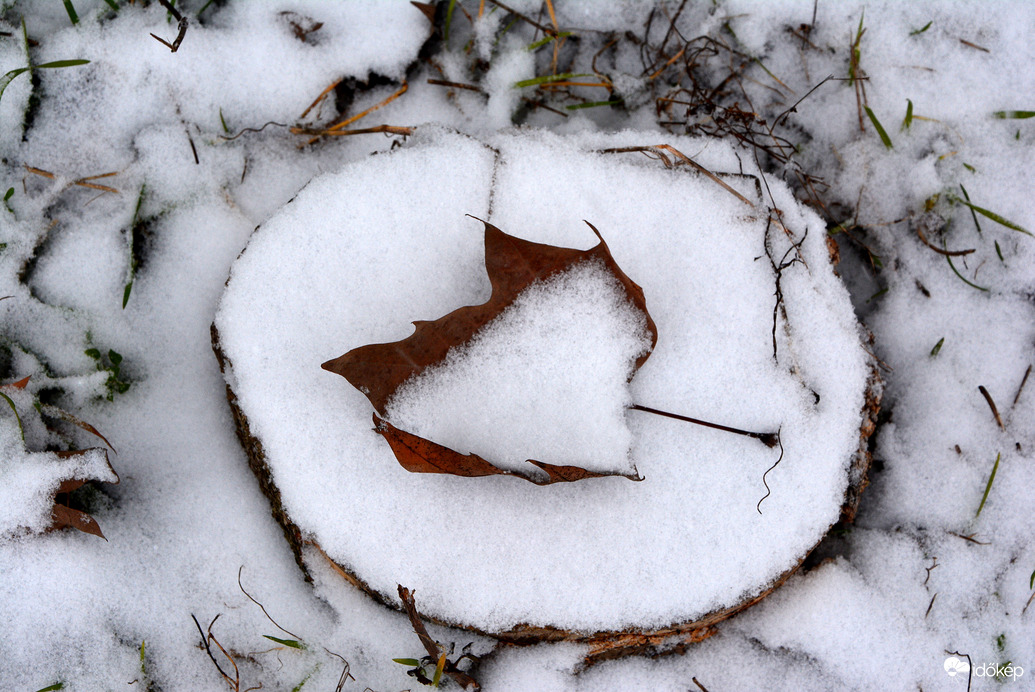 Egész napos havazás Szombathelyen 01.05.