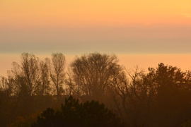 Ködös napkelte Balatongyörökön 11.16.