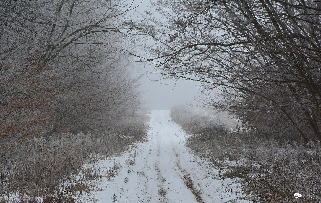 Ködös, zúzmarás, havas táj 01.16. Kőszeg határában