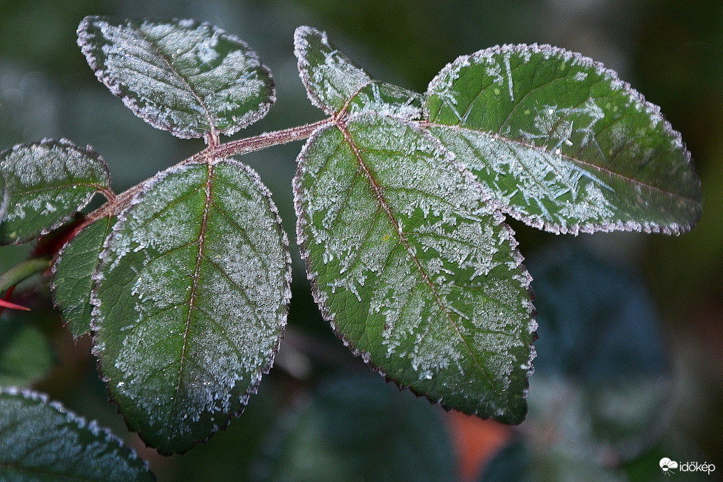 Deres reggel Szombathelyen 11.28.