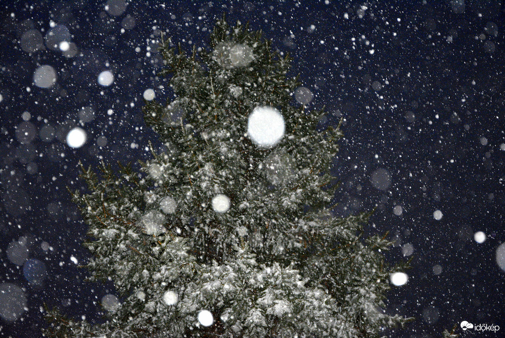 Intenzív havazás 02.20.