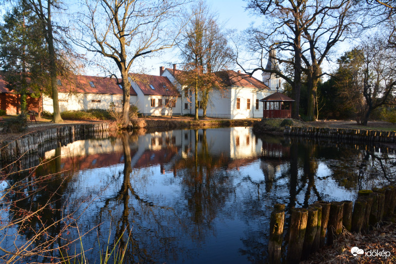 Kámoni arborétum 02.15.