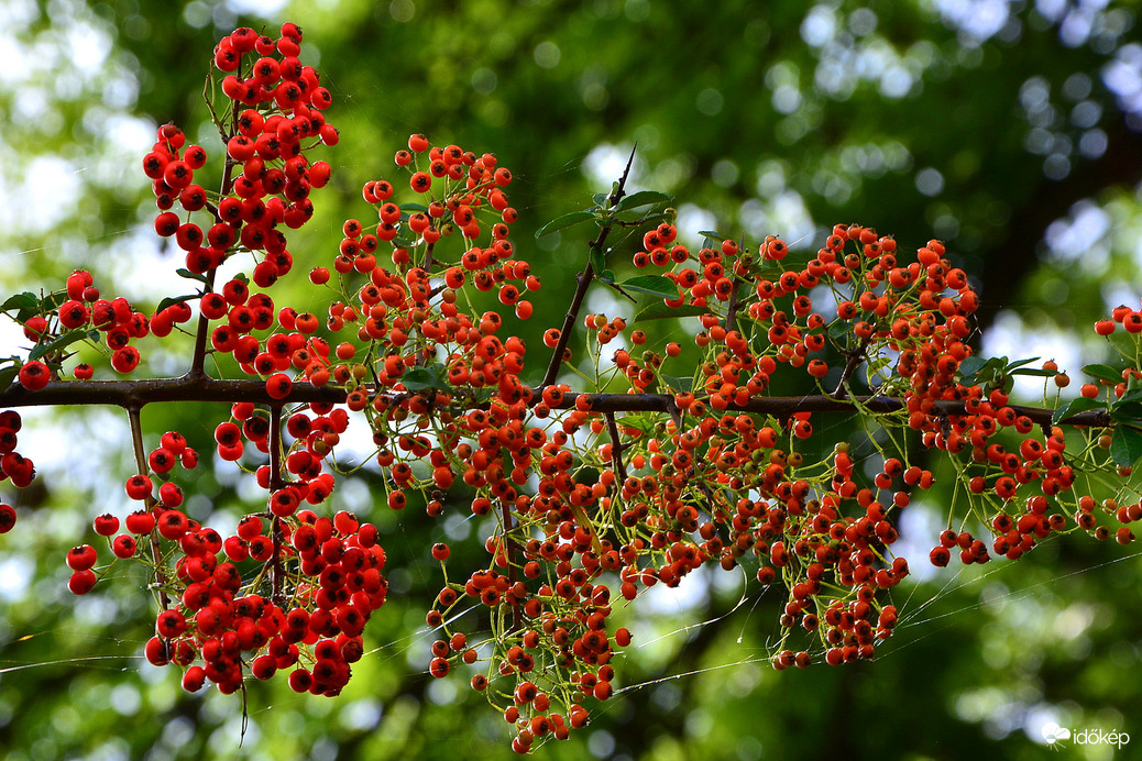 Szombathelyi ősz október első napján