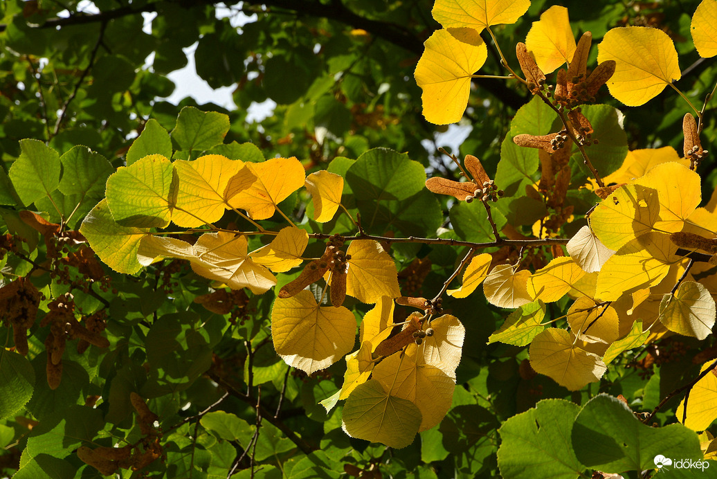 Szombathelyi ősz október első napján