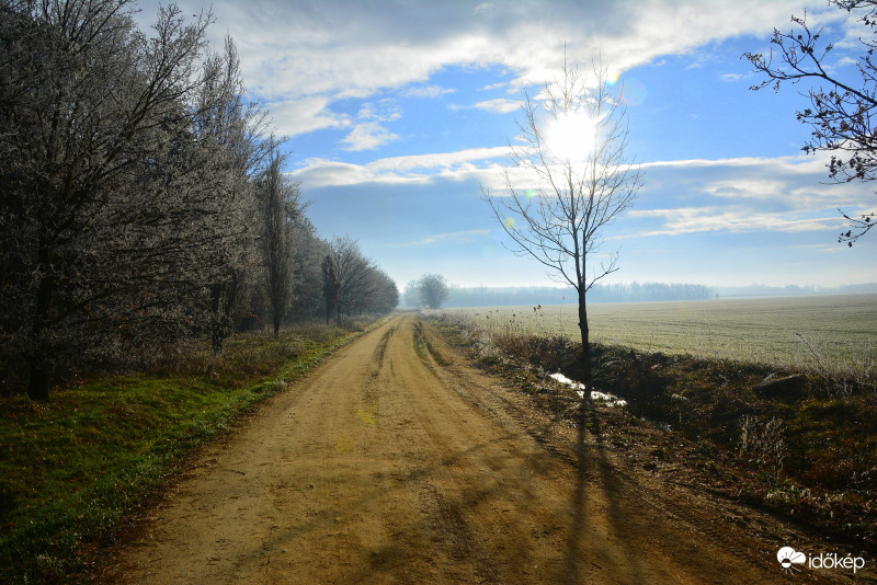Tájkép