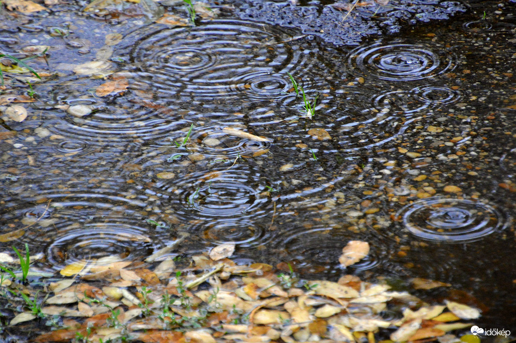 Esős november eleje 11.03.