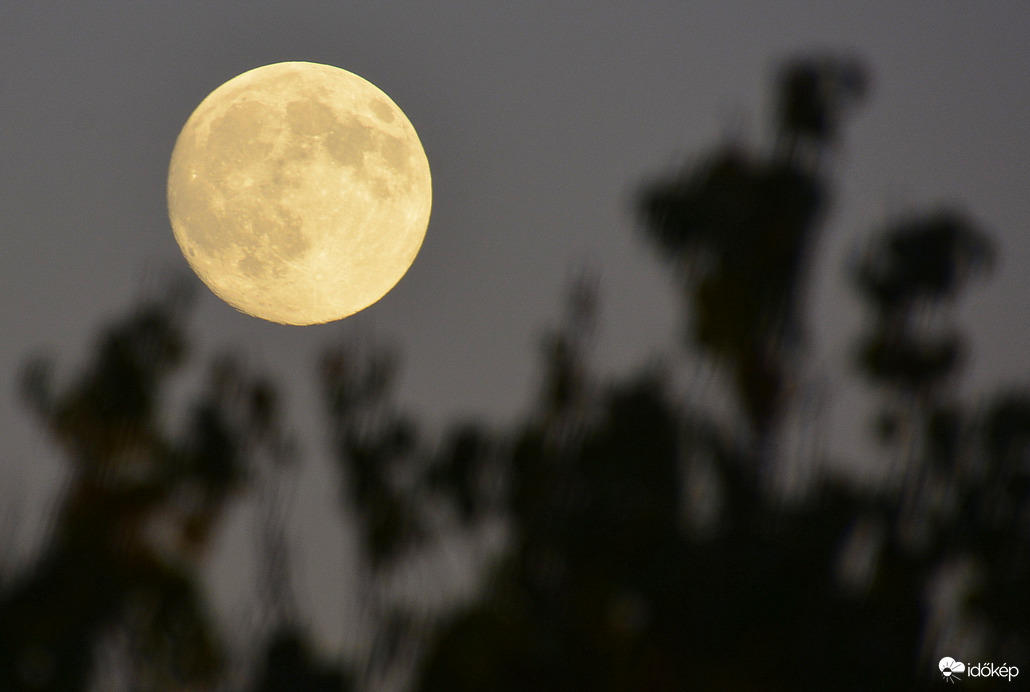 Majdnem Telihold 11.04.