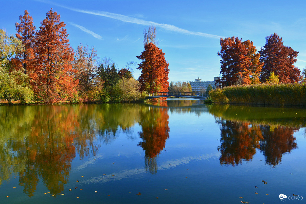 Gyönyörű ősz novemberben Szombathelyen 11.05.