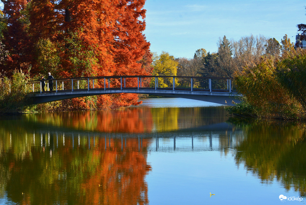 Gyönyörű ősz novemberben Szombathelyen 11.05.