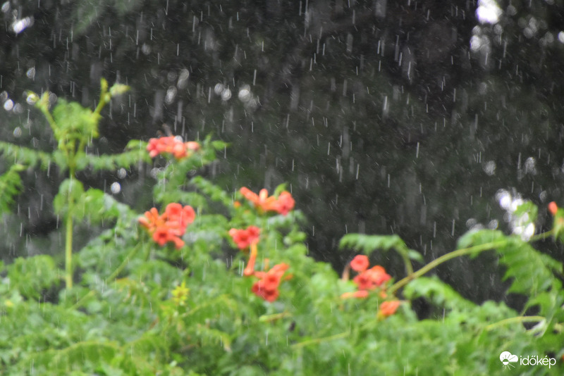 Kiadós eső Szombathelyen 07.11.