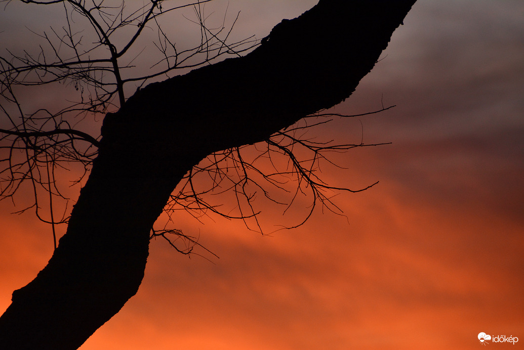 Narancsos naplemente 12.08.