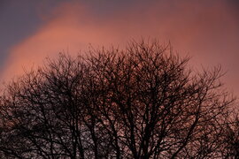 Végre, nem csak a ködöt láttuk naplemente idején 12.08.