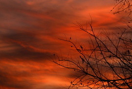 Narancsos naplemente 12.08.