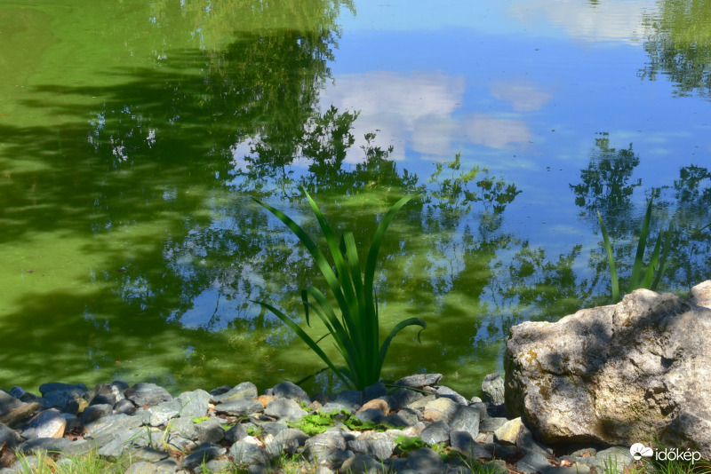 Peresznyei tó 08.07.