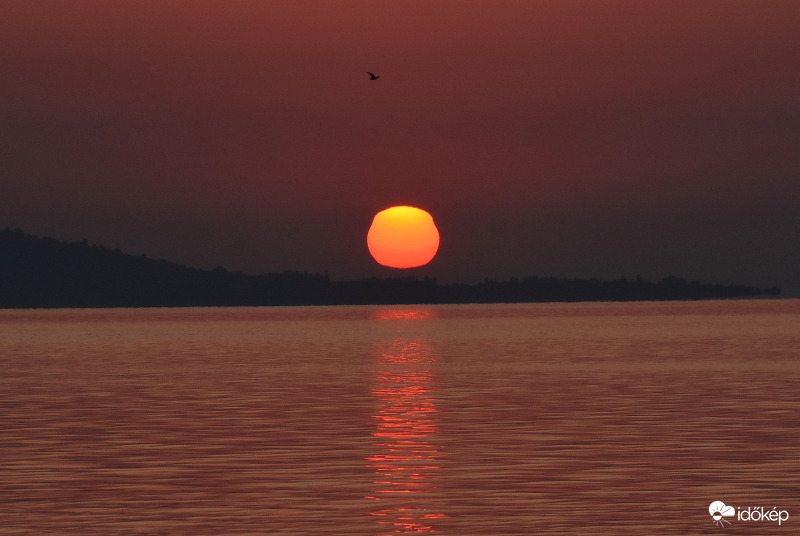 Torzult napkorong Balatongyörökön 08.15.