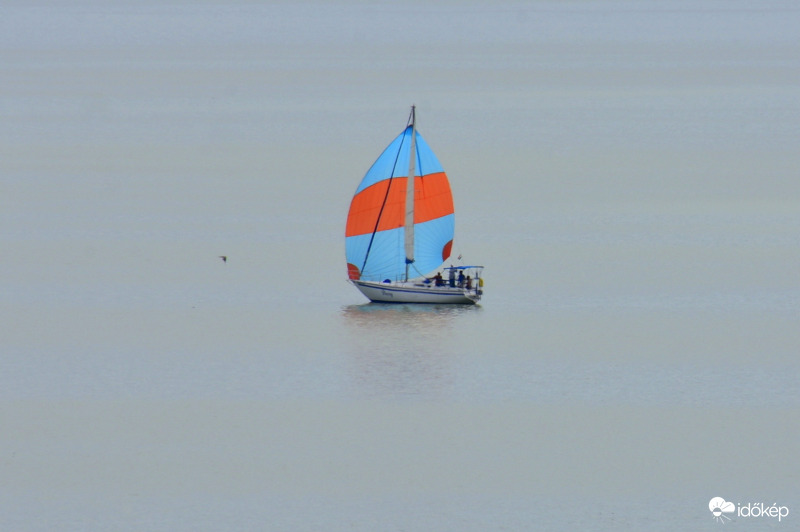 Vitorlás a vízen 08.20.