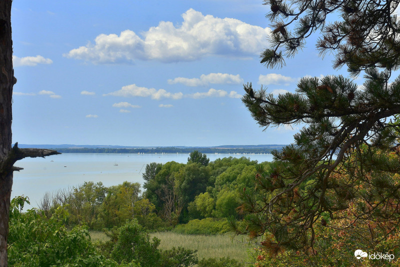 Fehér vitorlások a távolban 08.20.