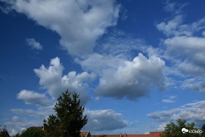 Szeptemberi gomolyok 09.01.