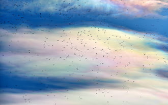 Irizáló felhők madarakkal 02.06.