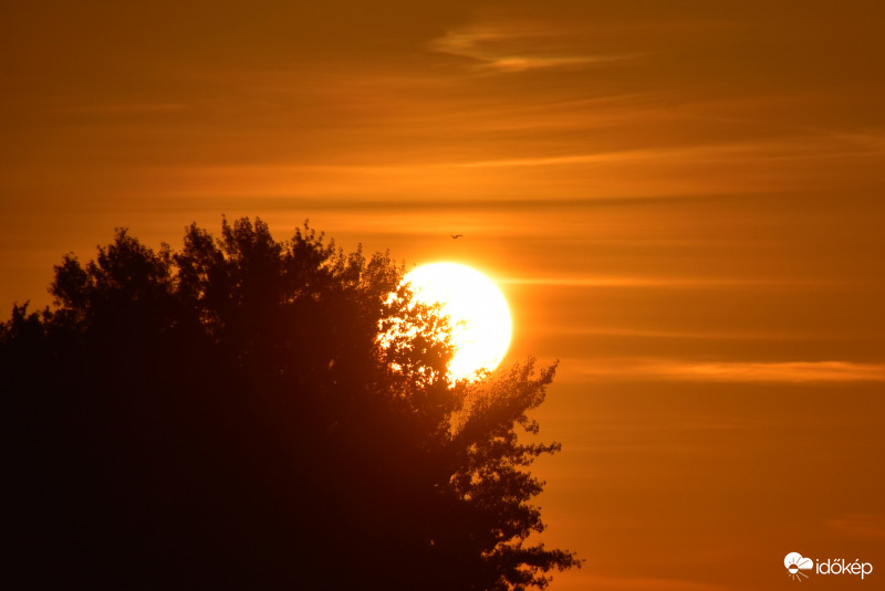 Vonyarcvashegy 10.02.