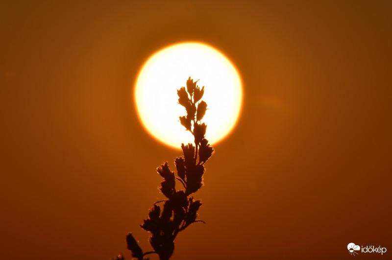 Naplemente Vonyarcvashegyen 10.02.