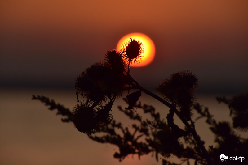 Naplemente Vonyarcvashegyen 10.02.
