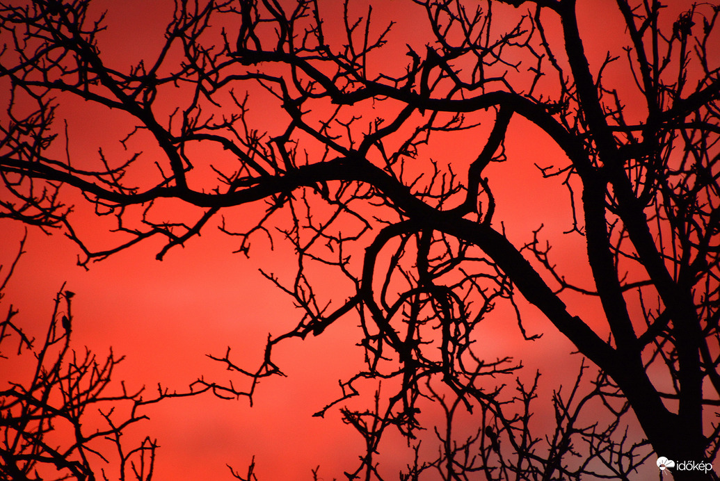 Szinte lángolt 12.17.