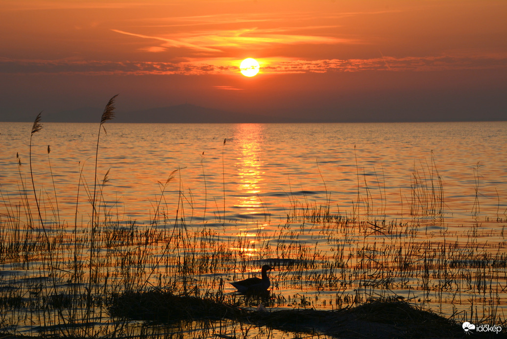 Gyönyörű napkelte 03.08.