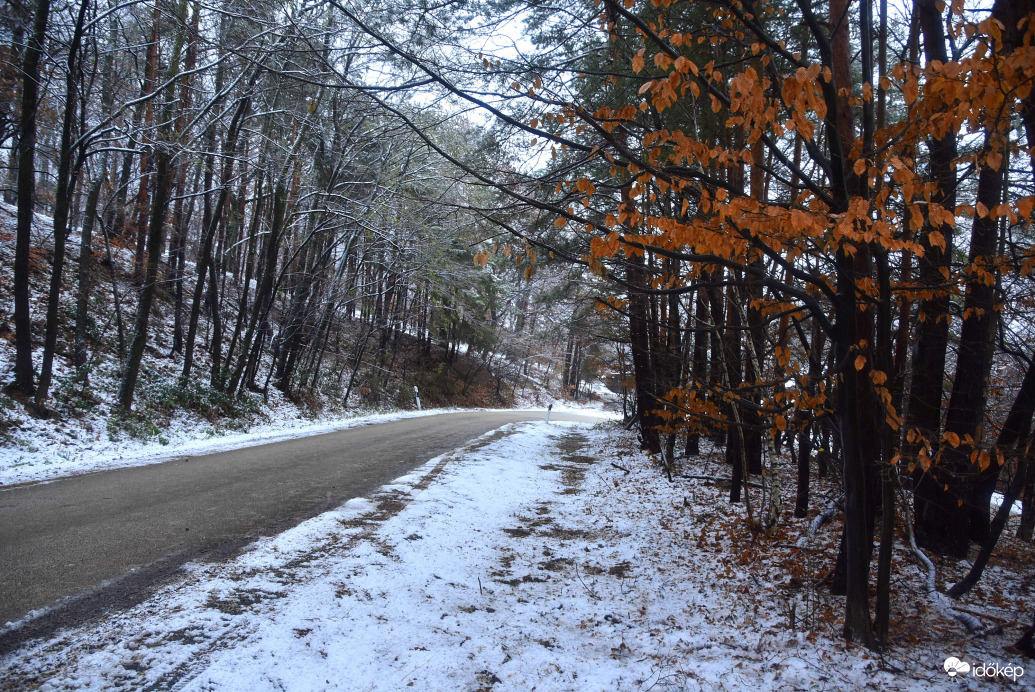 Az ősz és a tél találkozása 11.27-én a Kőszegi-hegységen