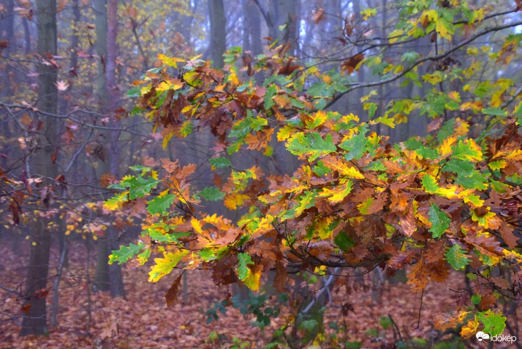 Október végén 10.31.