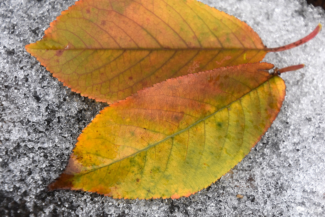 Tél az őszben (Szombathely, 11.20.)